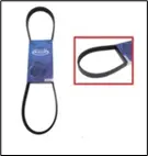 CORREA ACANALADA 970X17.8MM (5 CANALES) (5PK970)