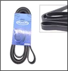 CORREA ACANALADA (6 CANALES) (6PK2590)