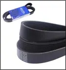 CORREA ACANALADA (7 CANALES) (7PK1640)