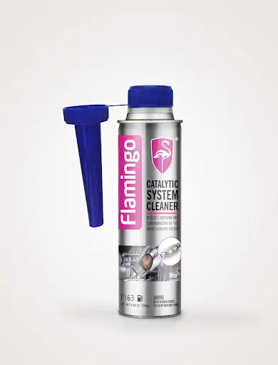 FMG LIM.DEL SISTEMA CATALITICO 300ML (0854)(F163)