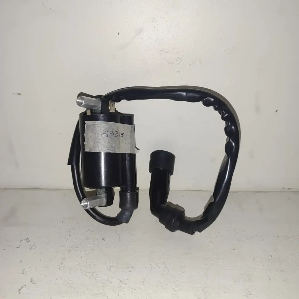 KIT Bobina de encendido GN 125F (43315)