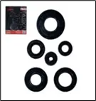 JUEGO DE SELLOS Y RETEN DE ACEITE AX100 (TM-1721)