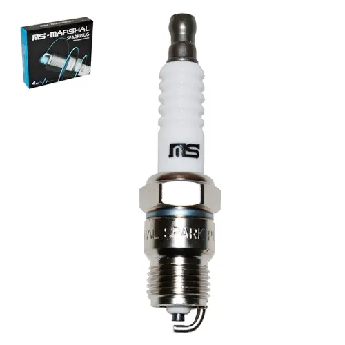 BUJIA PARA AUTO 5/8 (BL13Y)(P6TC)