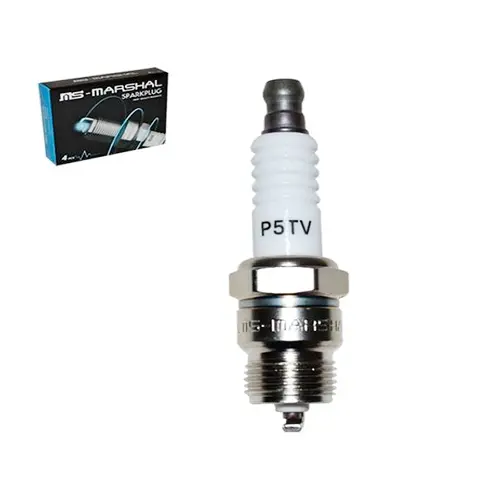 BUJIA PARA AUTO 5/8 (BL15YCV)(P5TV)