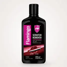 FMG REMOVEDOR RAYONES 300ML (00003119)(F099)